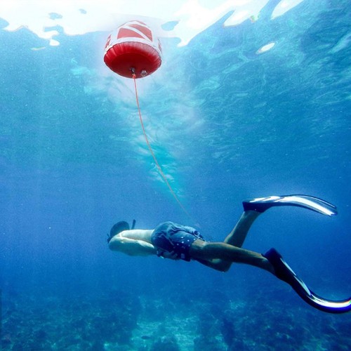 Diving float buoy ball diver - diving,